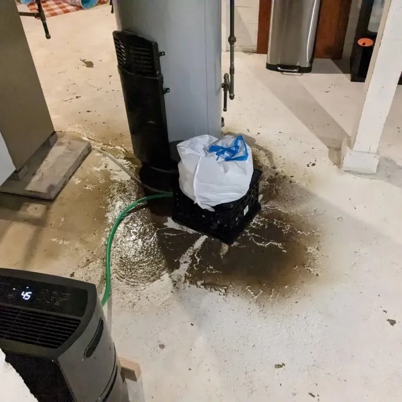 Sewage Backup Cleanup Service in Hardinsburg, KY